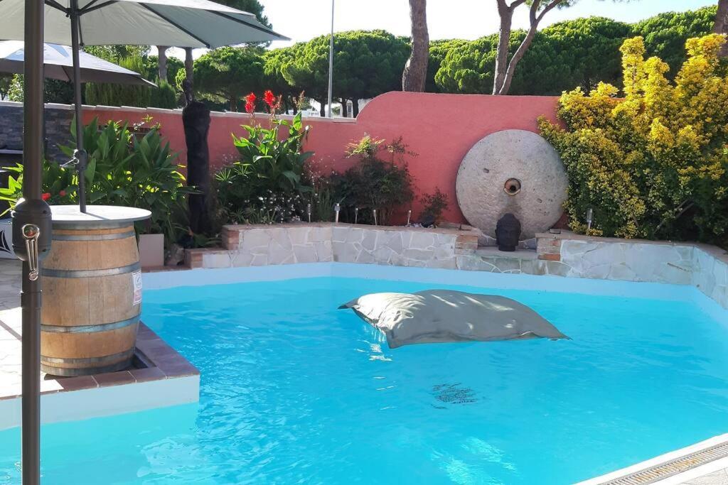Hebergement Chambre D'Hotes Grau Du Roi Mas Des Marines Piscine Adult Only ル・グロー・デュ・ロワ エクステリア 写真