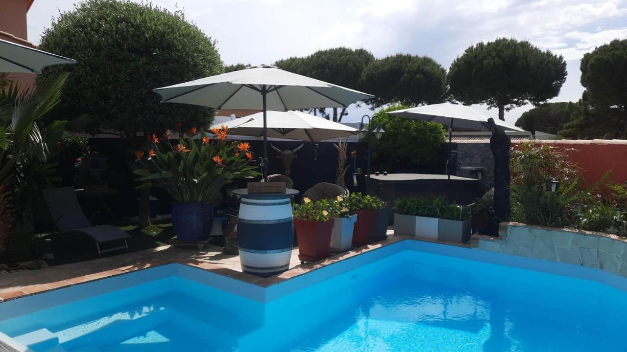 Hebergement Chambre D'Hotes Grau Du Roi Mas Des Marines Piscine Adult Only ル・グロー・デュ・ロワ エクステリア 写真