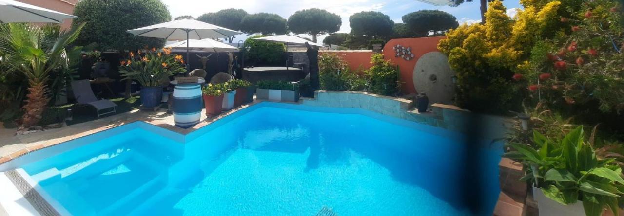 Hebergement Chambre D'Hotes Grau Du Roi Mas Des Marines Piscine Adult Only ル・グロー・デュ・ロワ エクステリア 写真